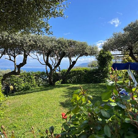 Sorrento Olive Tree Garden Hotel Luaran gambar