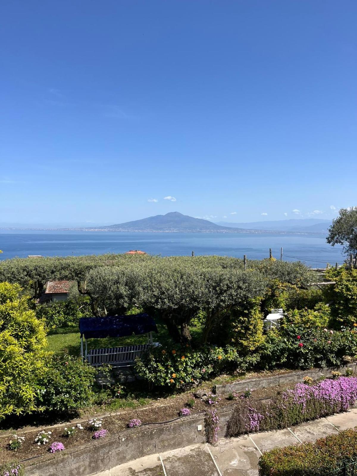 Sorrento Olive Tree Garden Hotel Luaran gambar