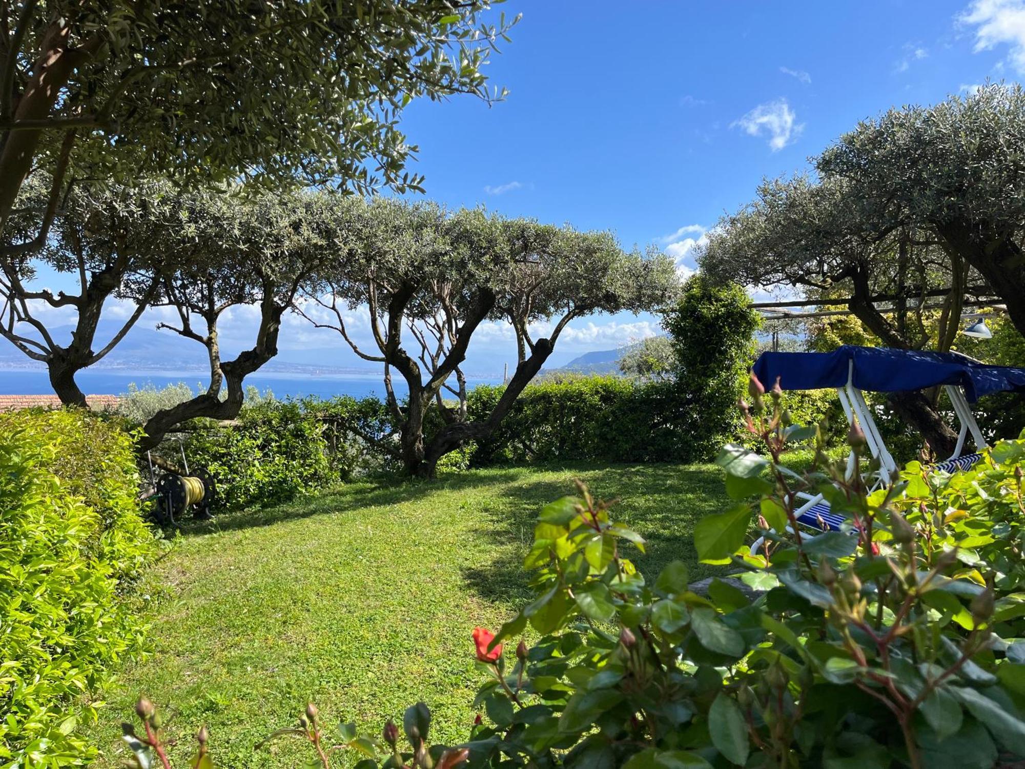 Sorrento Olive Tree Garden Hotel Luaran gambar